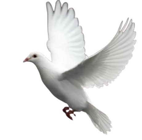 The Glory Of His Presence